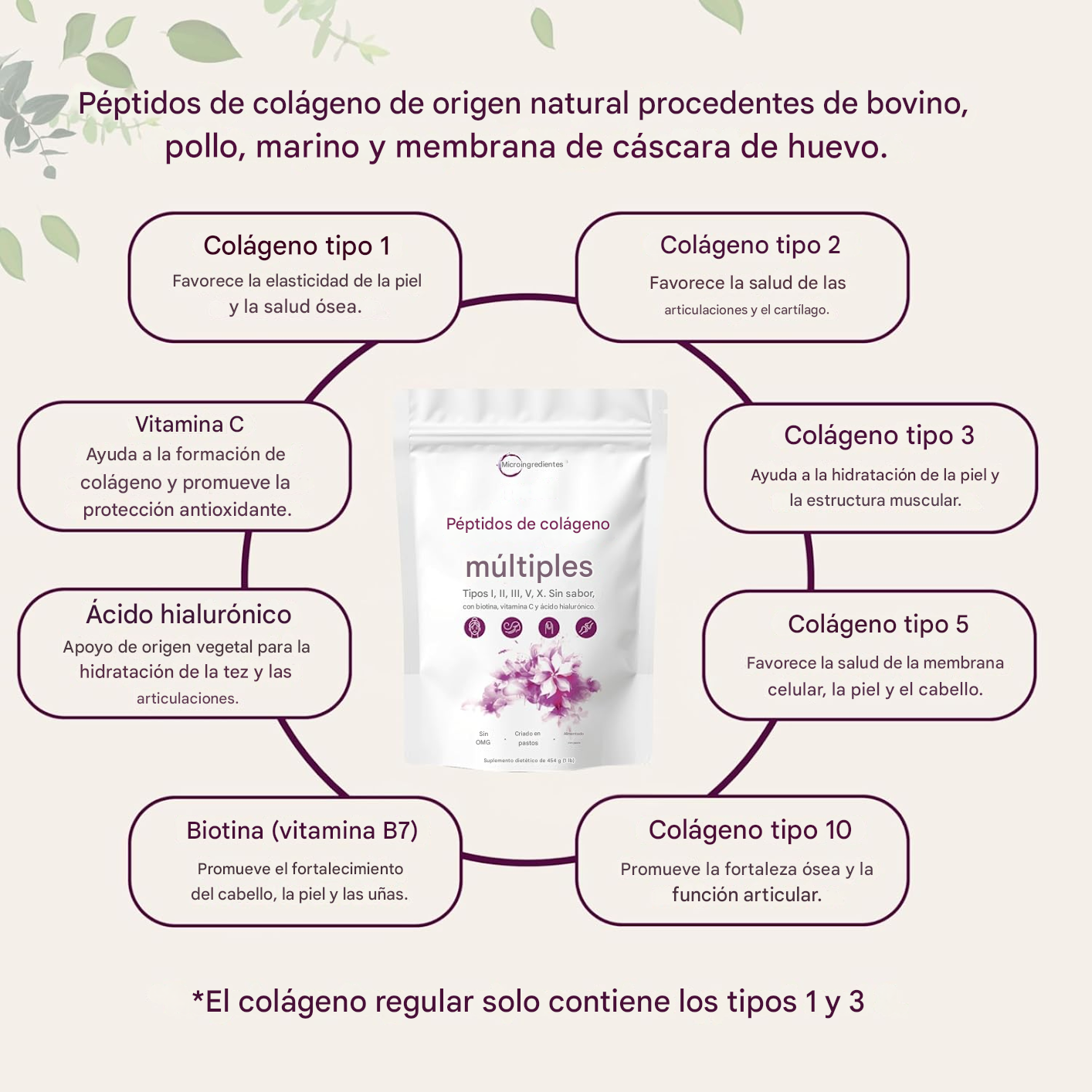 Péptidos de Colágeno  - Colágeno hidrolizado de origen natural - Para el cuidado del cabello, la piel, las uñas y las articulaciones